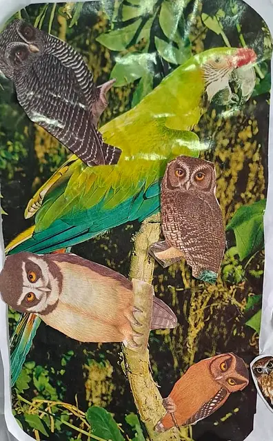 Detalle del mural: recuadro de selva con loro y búhos recortados de revista