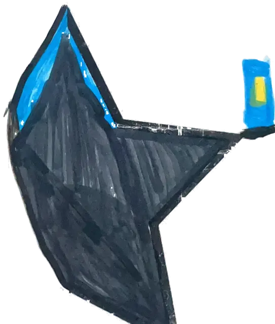 Ficha «No es una estrella»: barco negro con borde azul y bandera amarilla